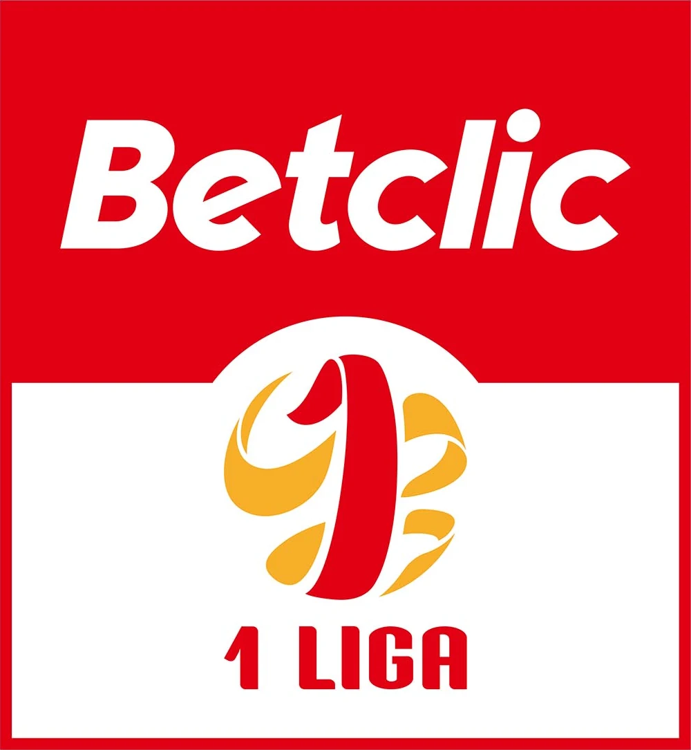 Fortuna 1 Liga 2024/25