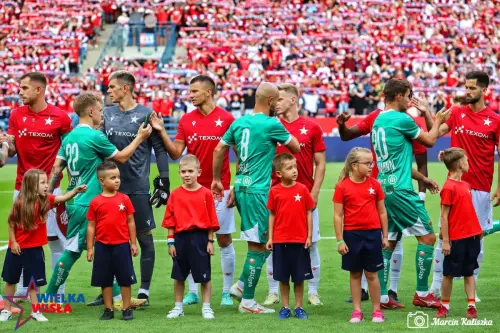 Wisla Krakow-Rapid Wieden-11 (1)