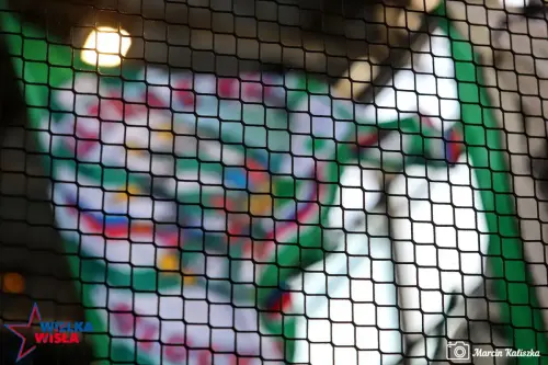 Wisla Krakow-Rapid Wieden-58