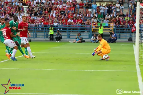 Wisla Krakow-Rapid Wieden-63