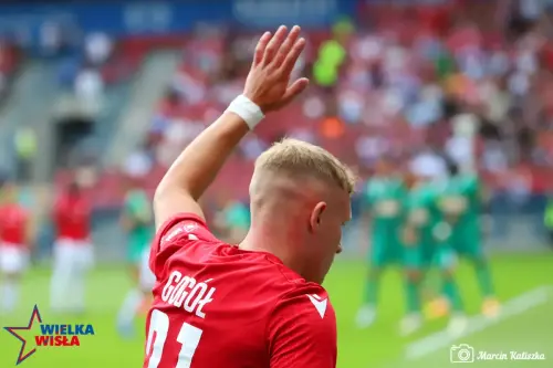 Wisla Krakow-Rapid Wieden-8 (1)