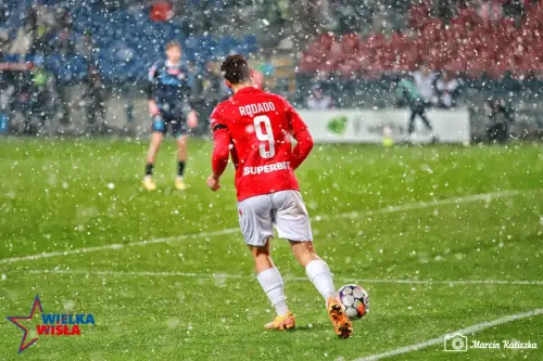 Wisła Kraków - Stal Rzeszów 22.11.2024