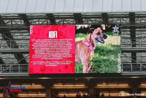 Wisla-Krakow-Znicz-Pruszkow-07102023-34