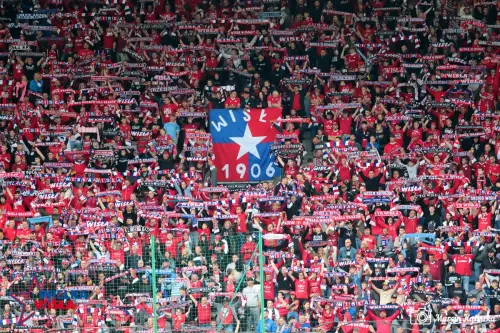 wisla-krakow-lechia-gdansk-11052024-40